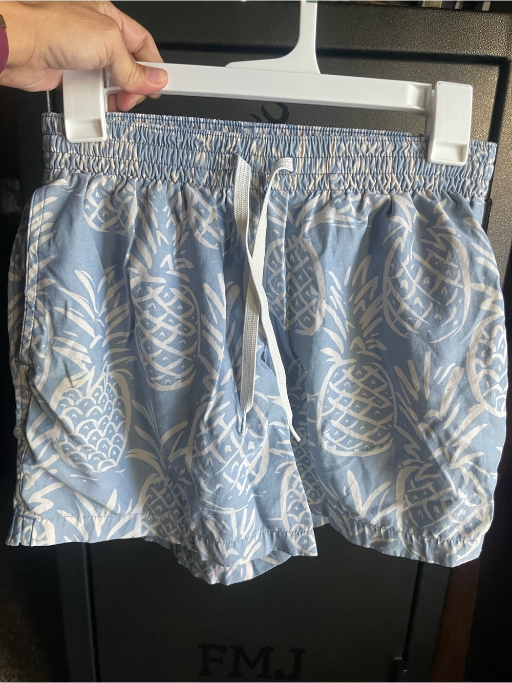 chubbies Light Blue Pineapple Swim Trunks